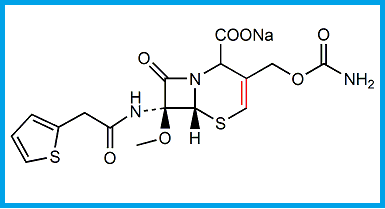 CEFOXITIN EP IMPURITY B 